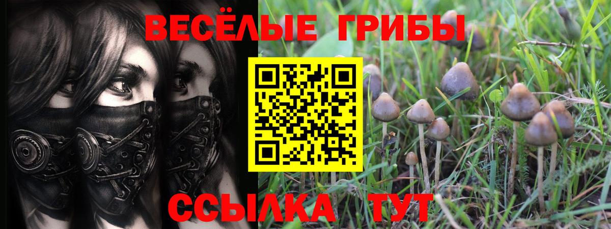 Псилоцибиновые грибы ЛСД  Вход с VPN  Топки 